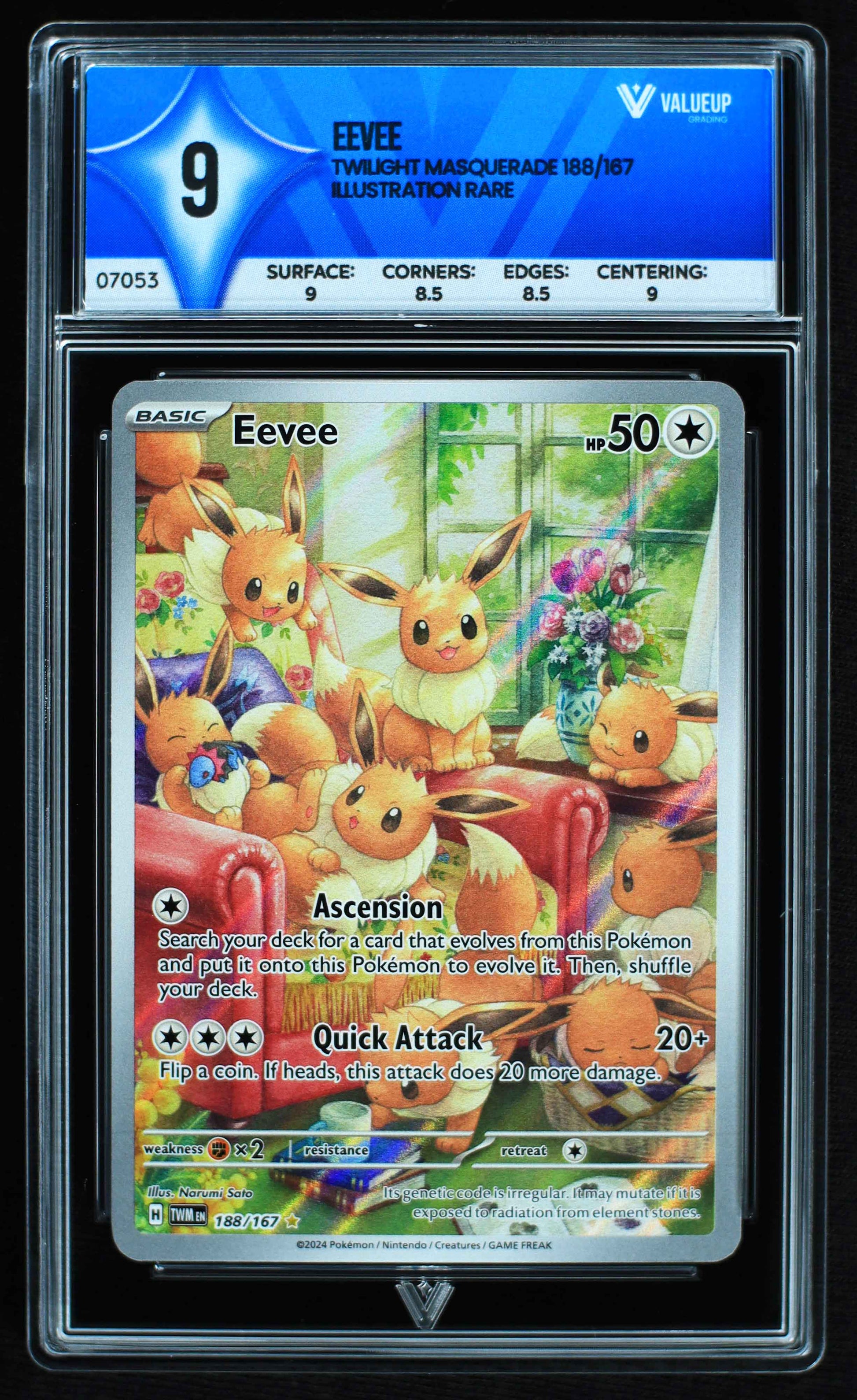 07053 EEVEE Grading Card