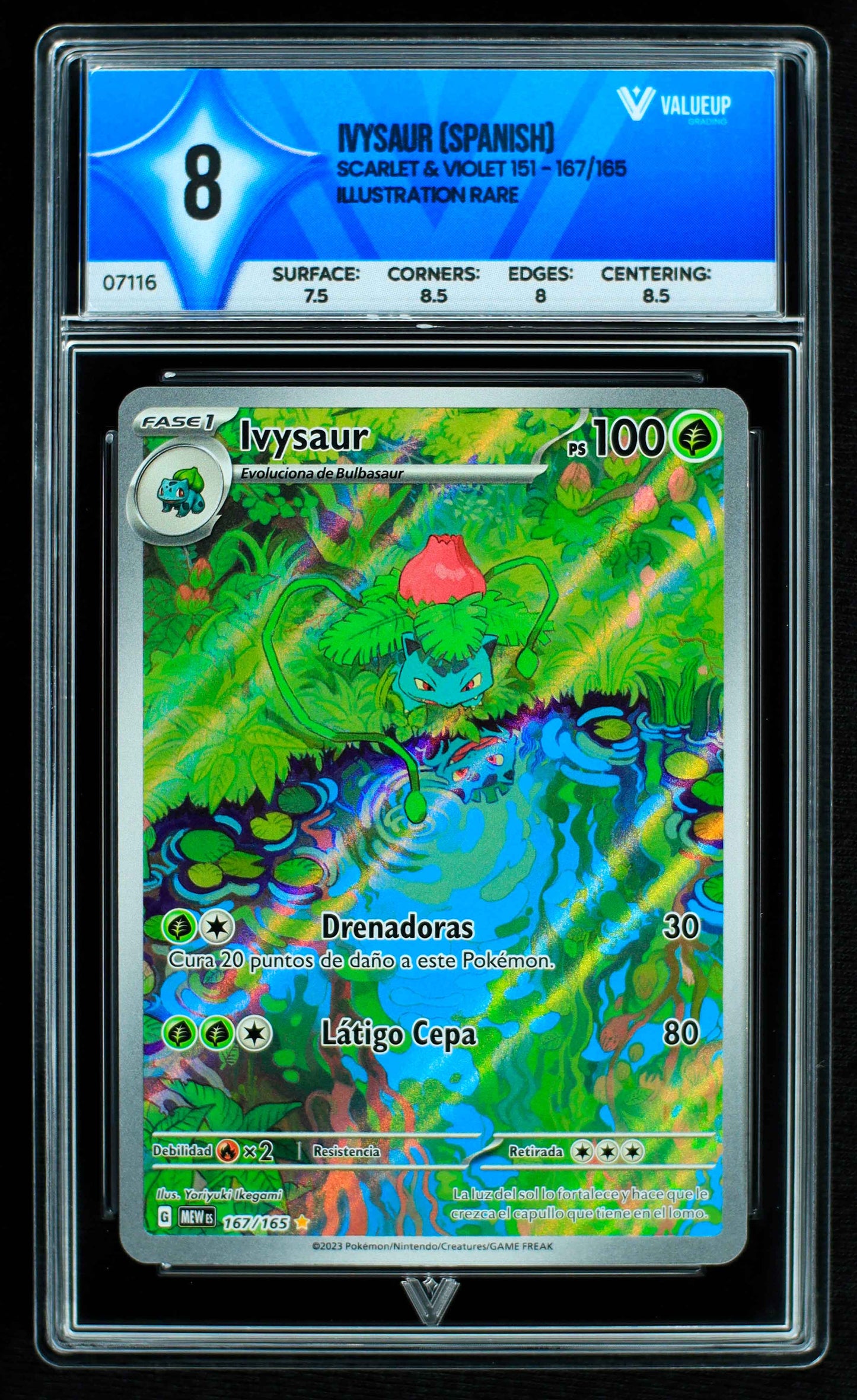 07116 IVYSAUR (SPANISH) Grading Card