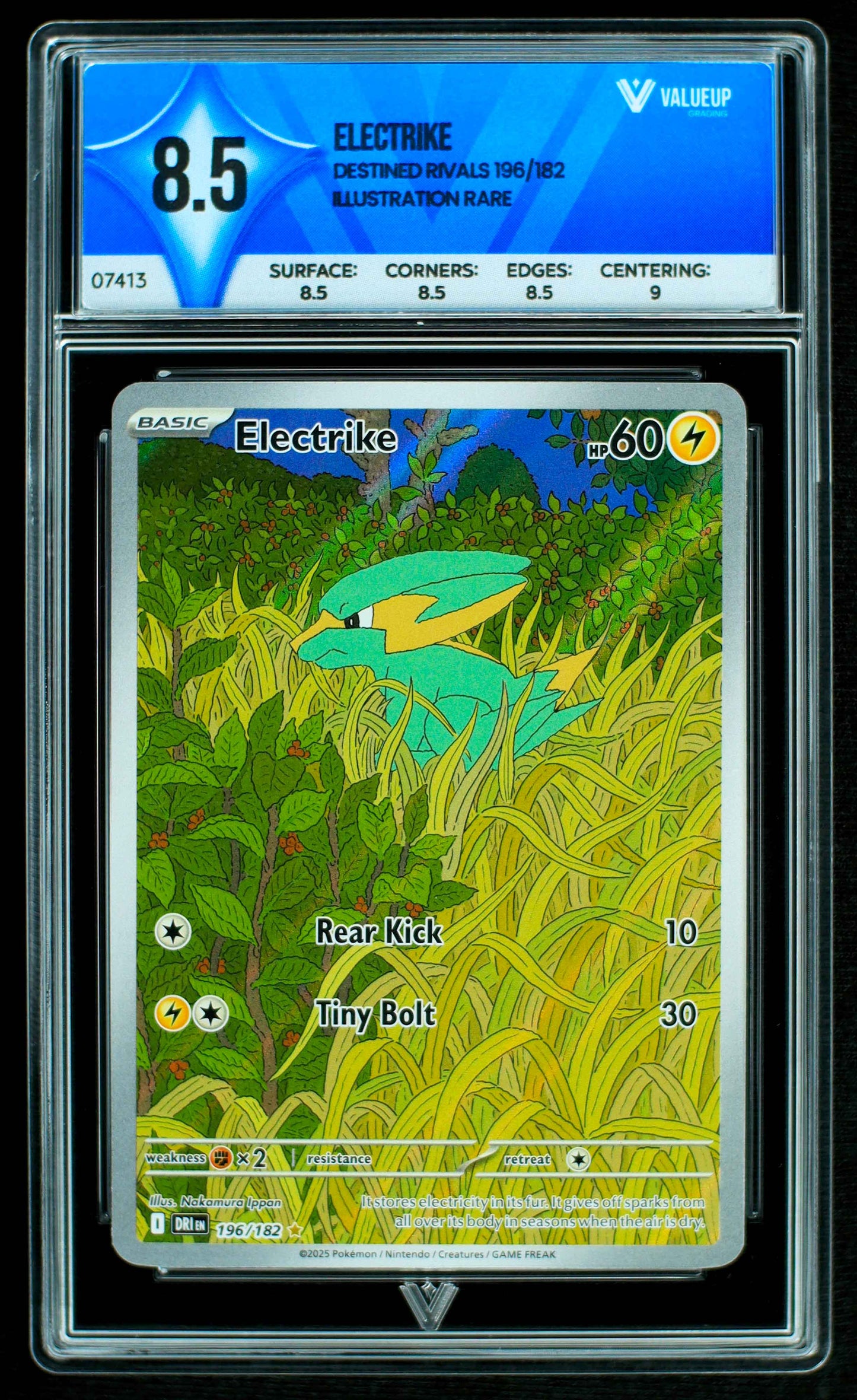 Grading Card Electrike