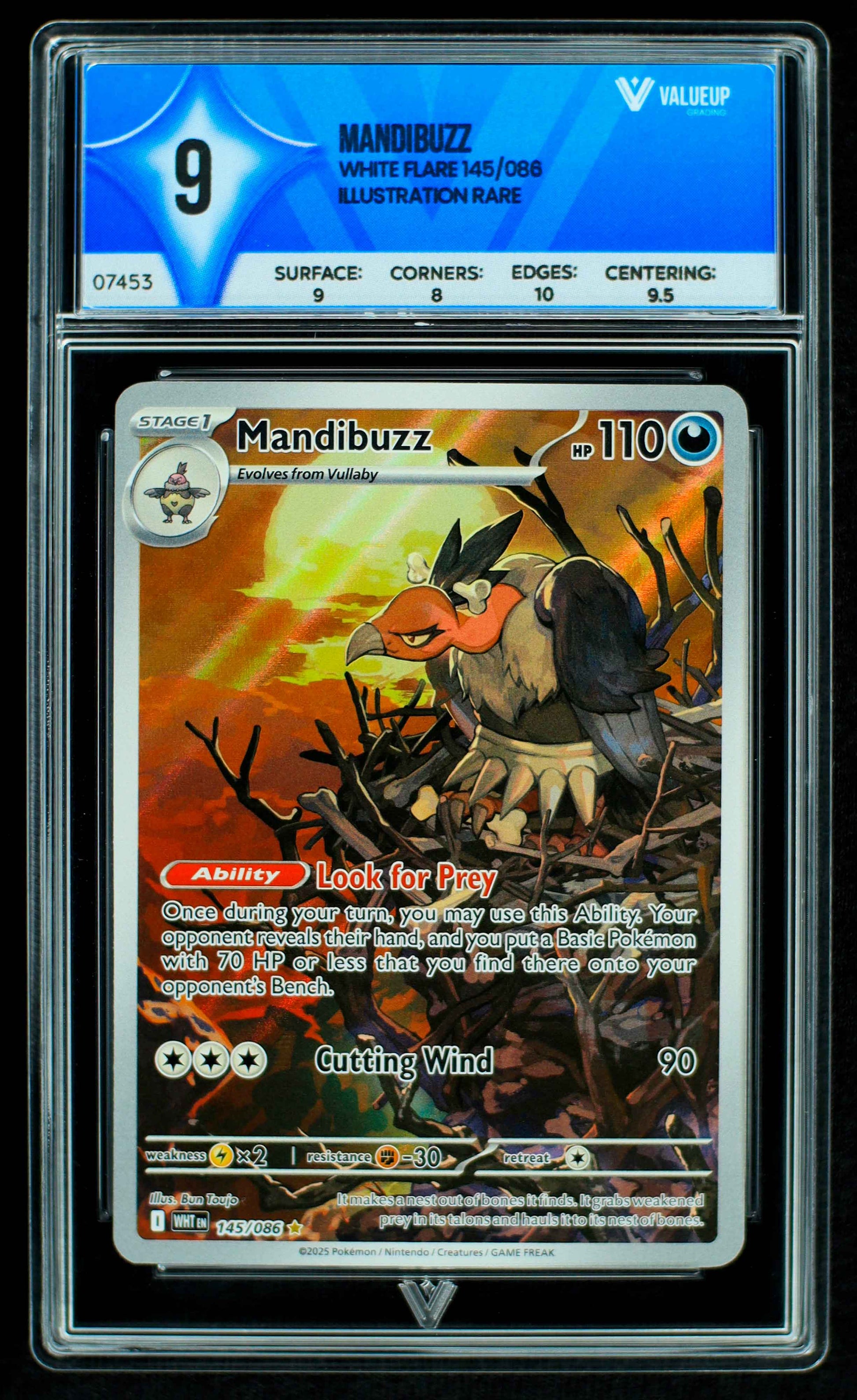 Grading card Mandibuzz