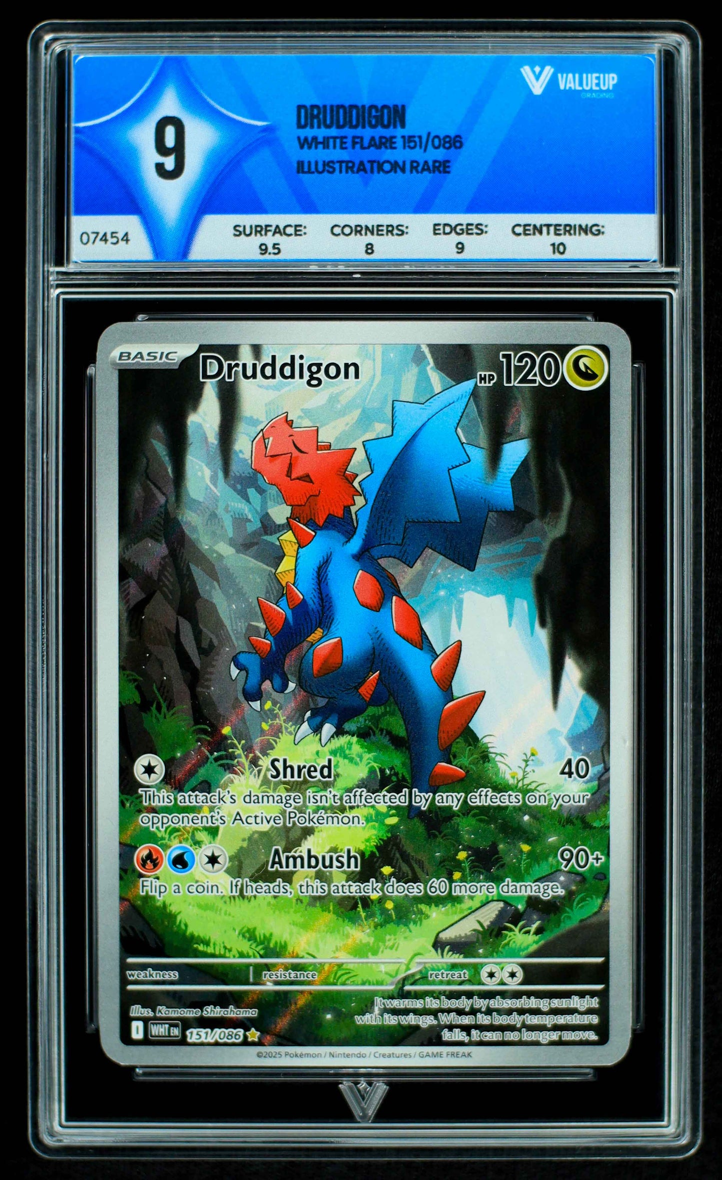 Grading Card Druddigon