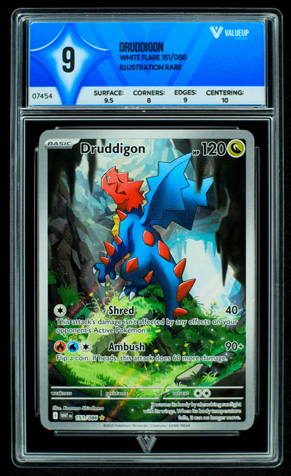 Grading Card Druddigon