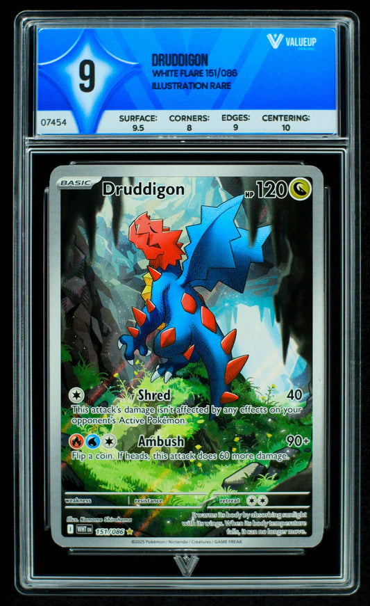 Grading Card Druddigon