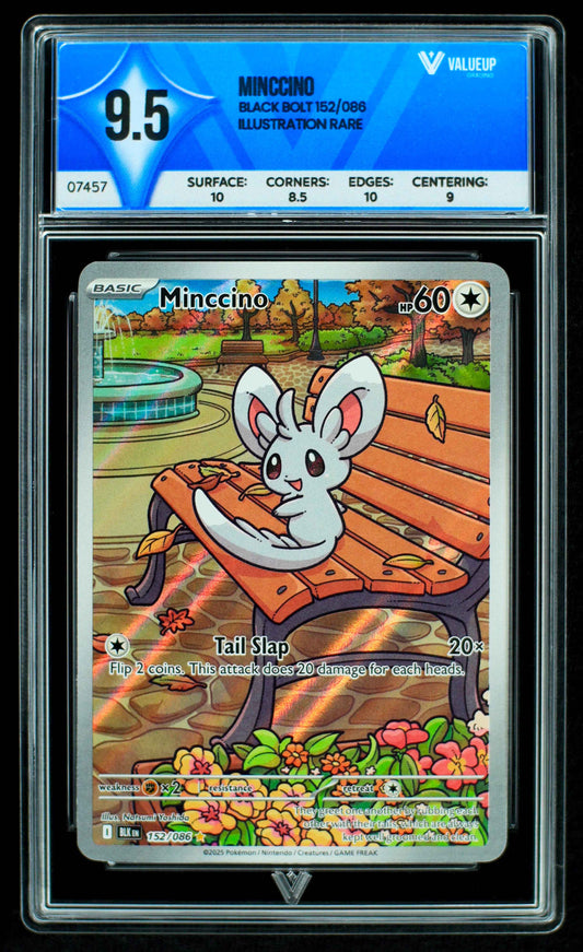 Grading Card Minccino 