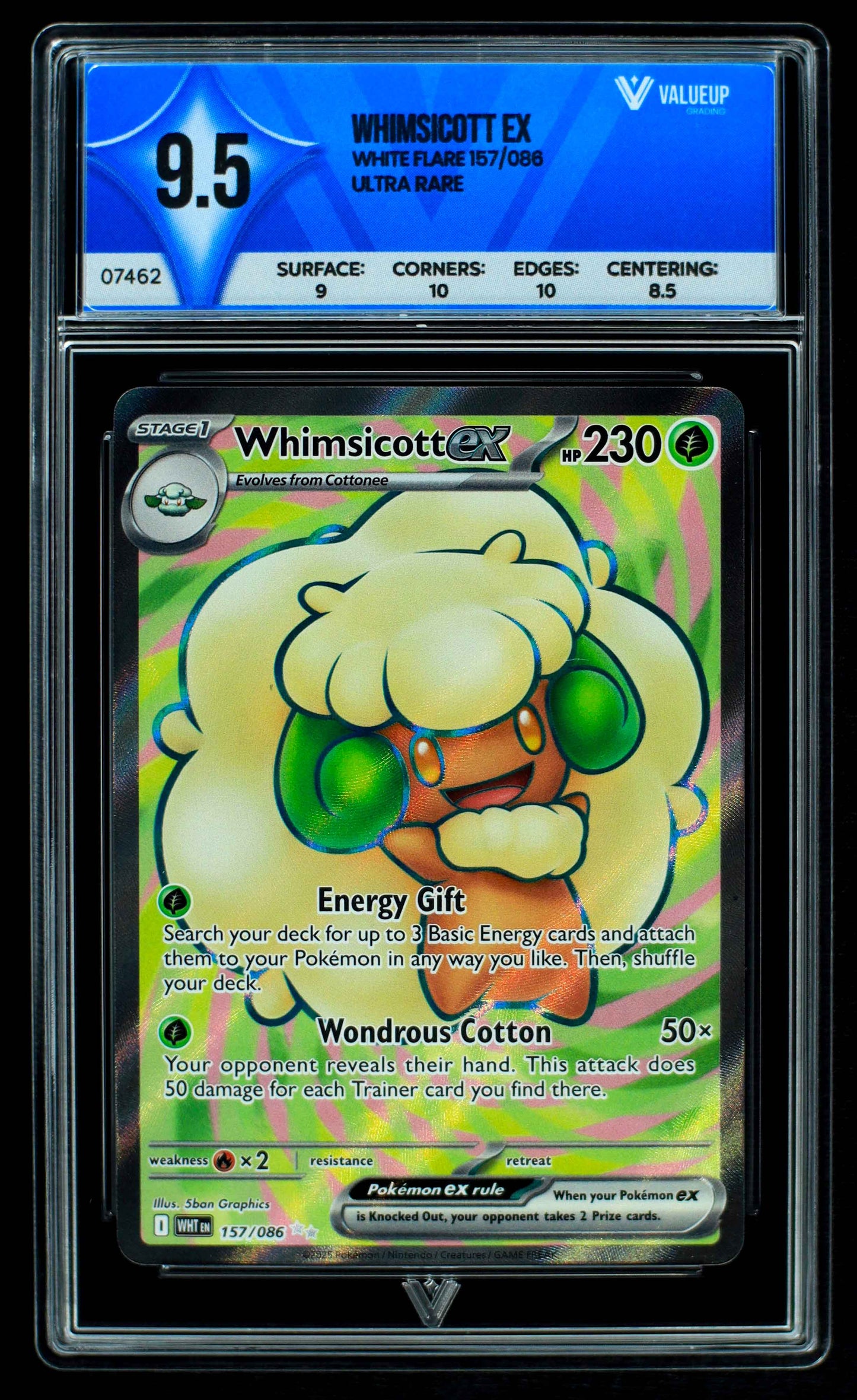 Grading Card Whimsicot