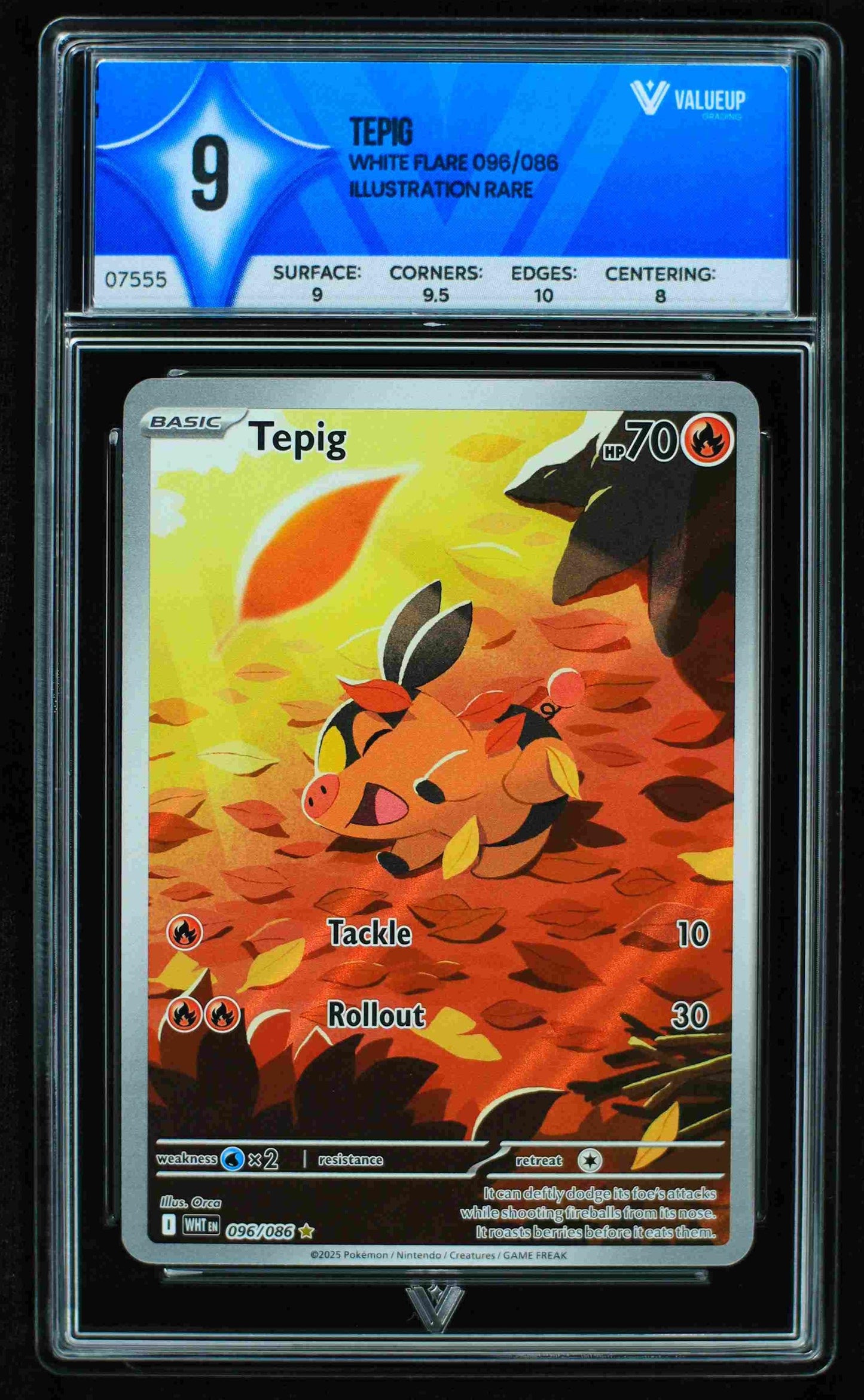 Grading Card Tepig