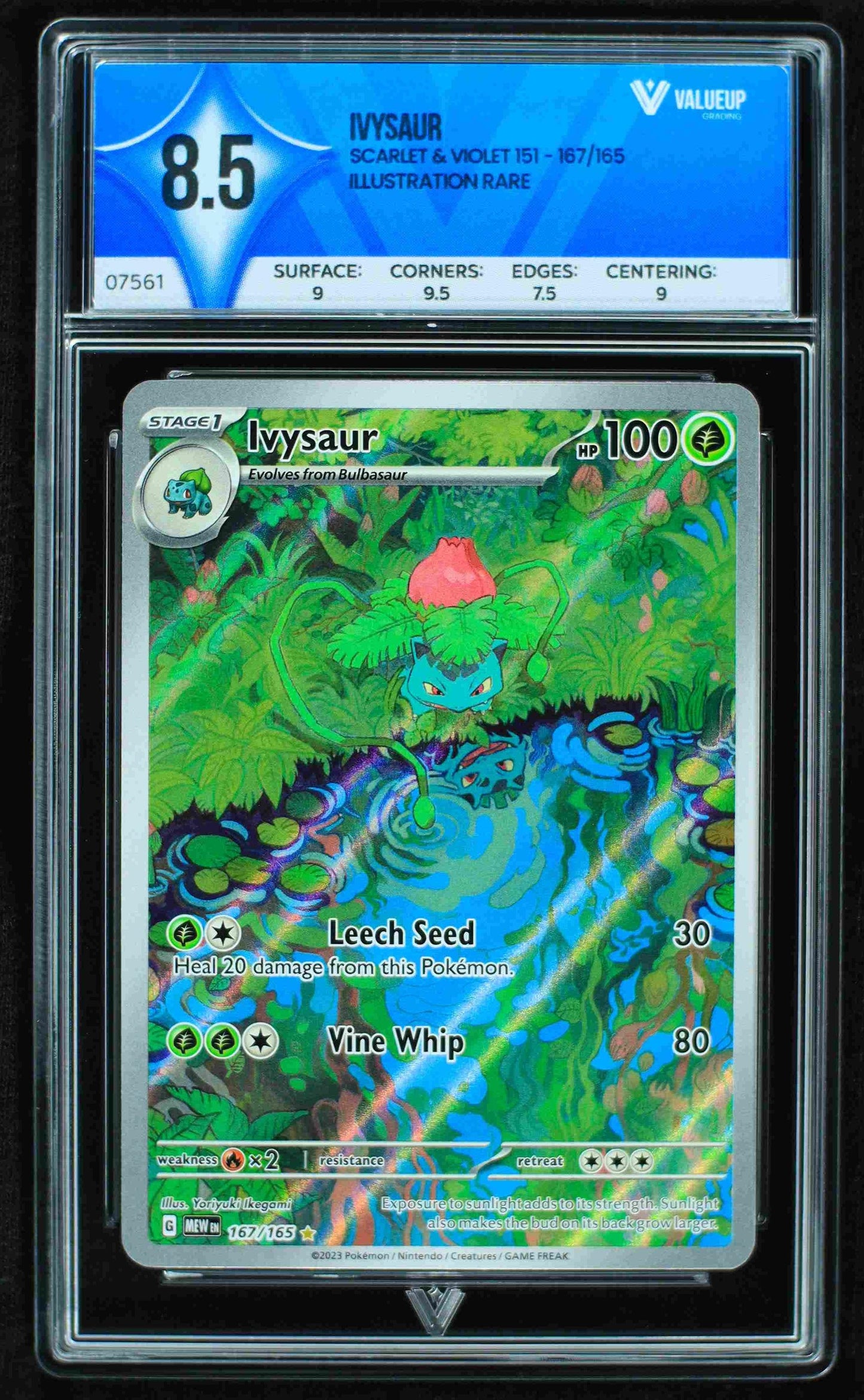Grading Card Ivysaur