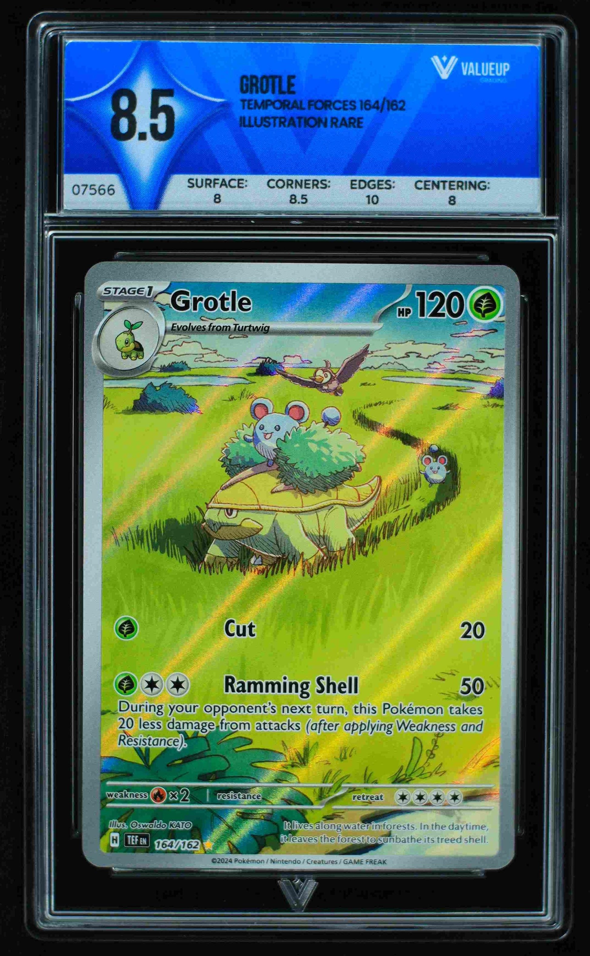 Grading Card Grotle