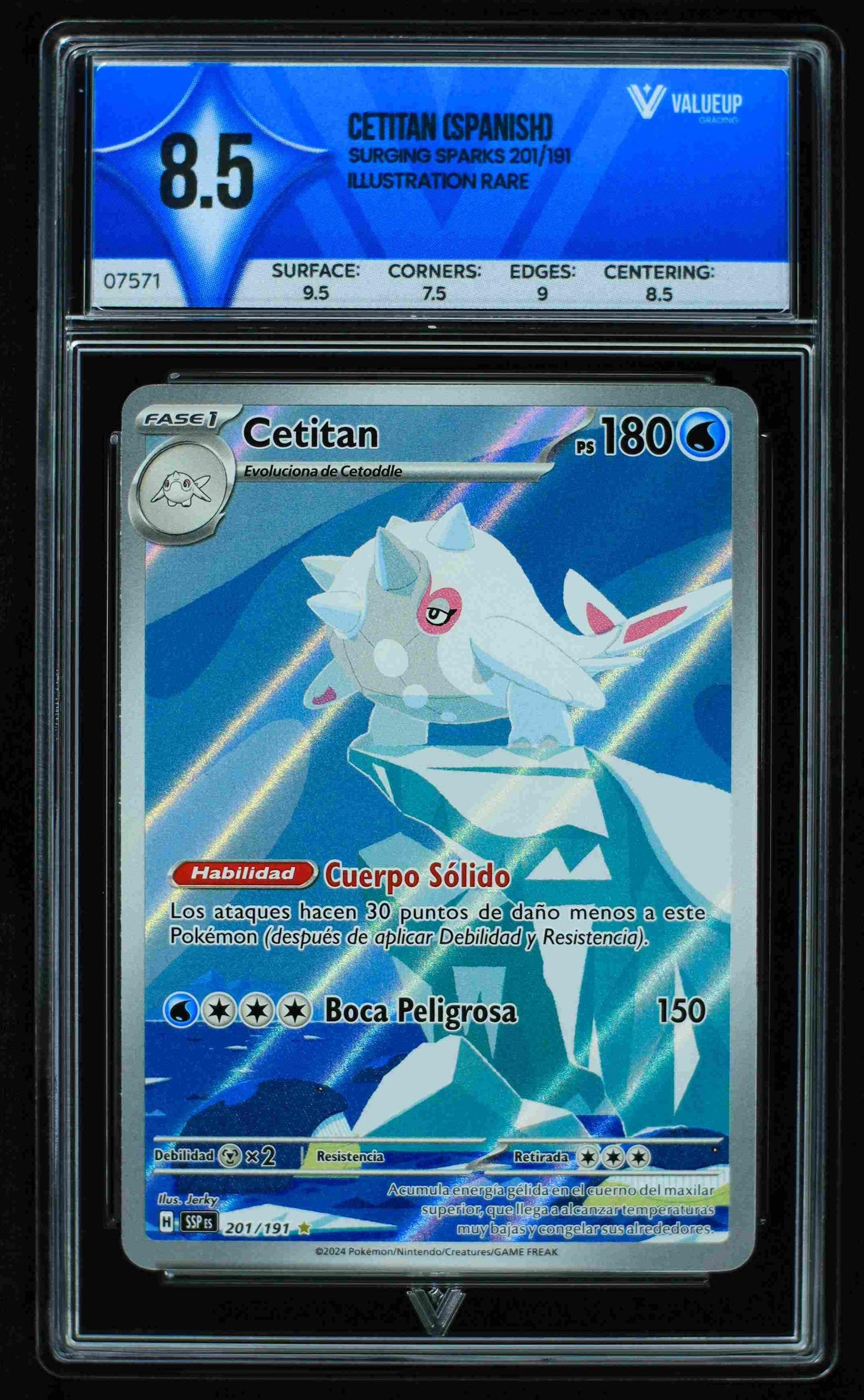 Grading Card Cetitan (spanish)