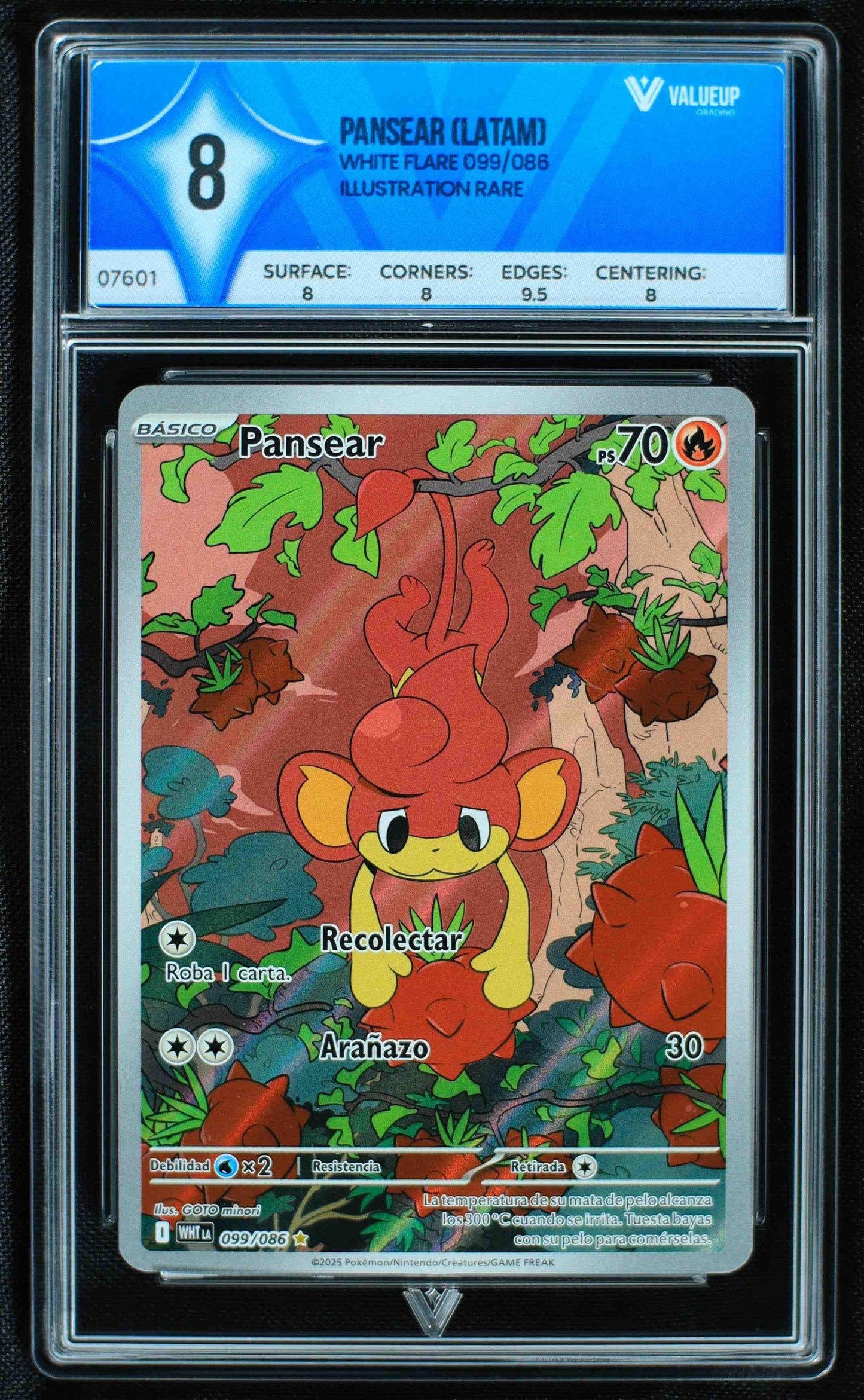 Grading Card Pansear 