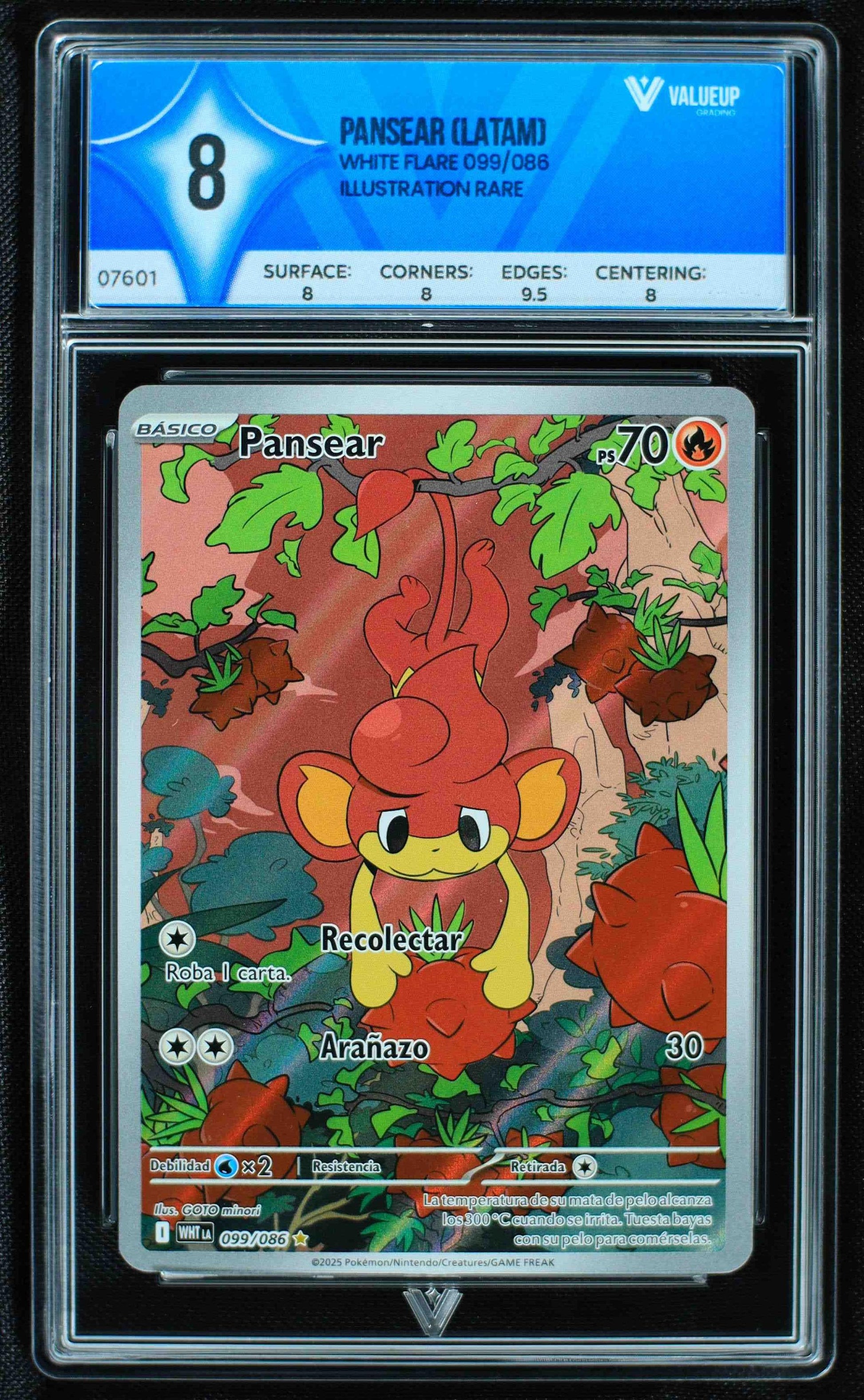 Grading Card Pansear 