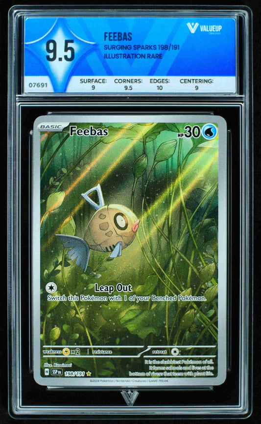07691 FEEBAS