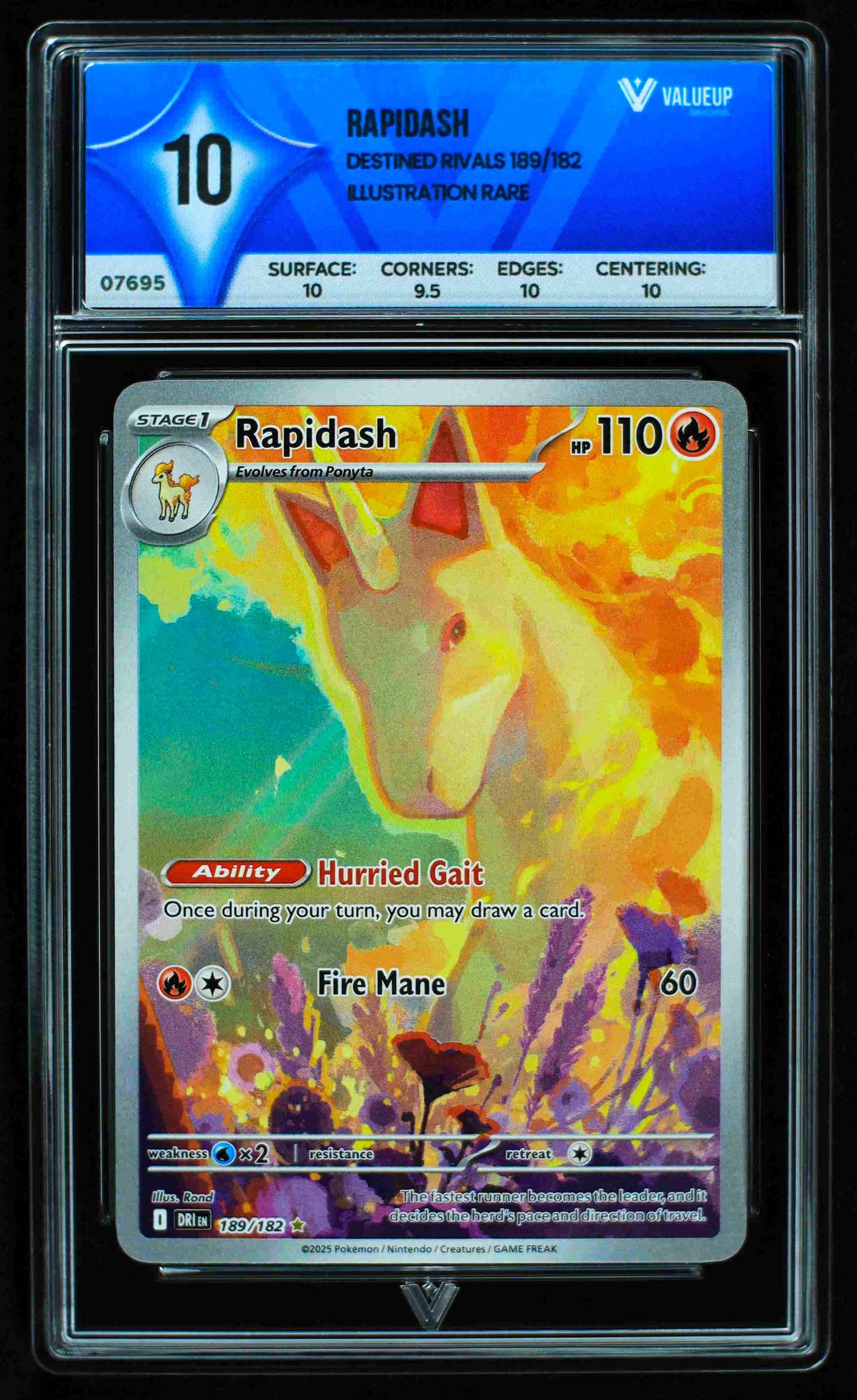 07695 RAPIDASH