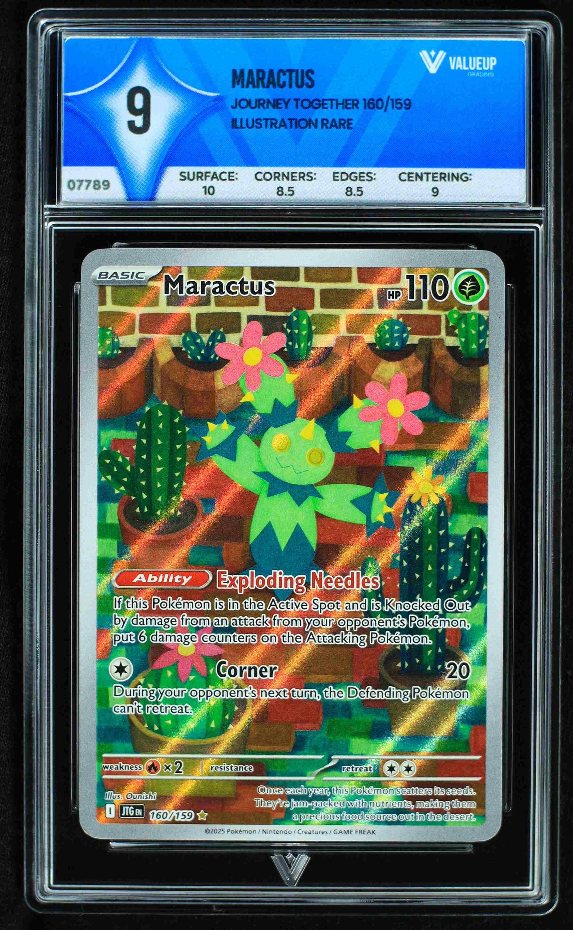 07789 MARACTUS Grading Card