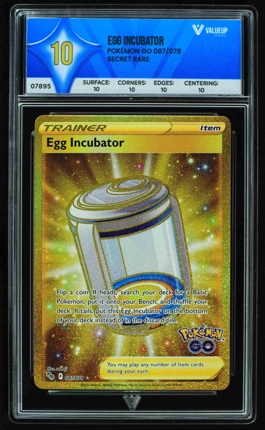 07895 EGG INCUBATOR