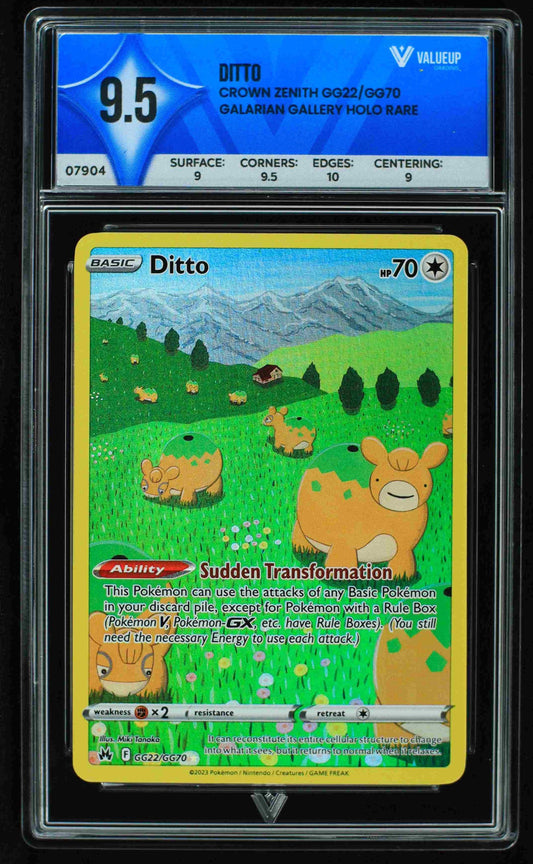 07904 DITTO