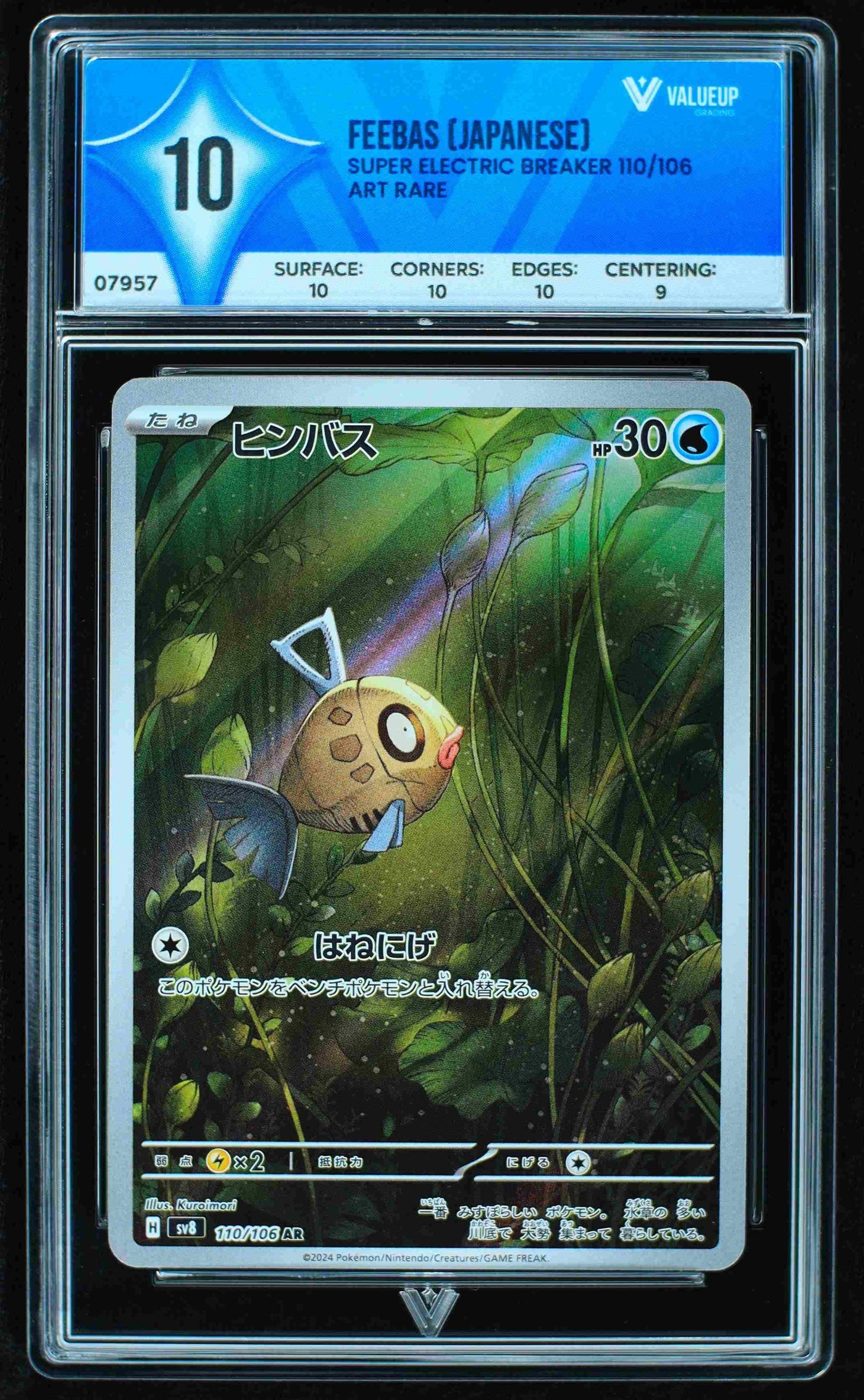 07957 FEEBAS (JAPANESE)