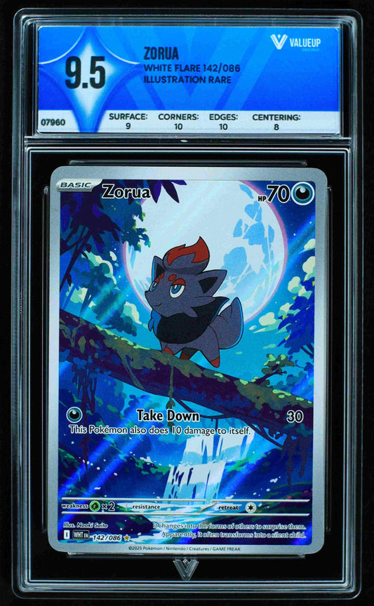 07960 ZORUA
