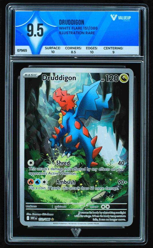 07965 DRUDDIGON