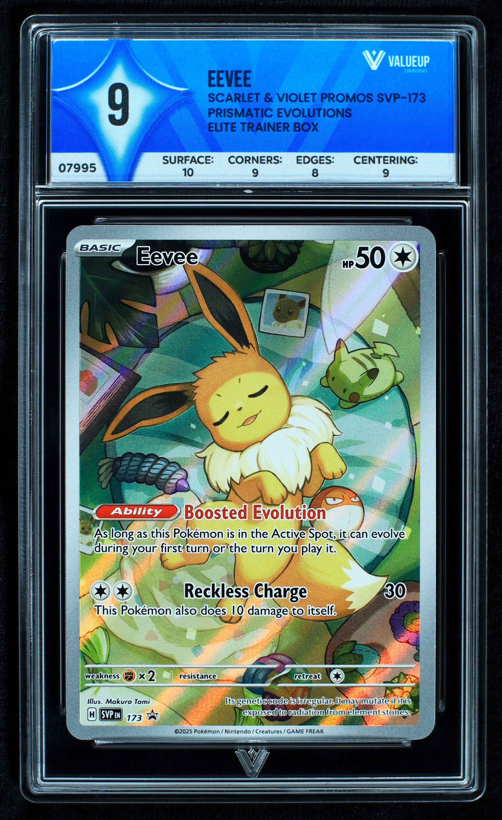 07995 EEVEE Grading Card