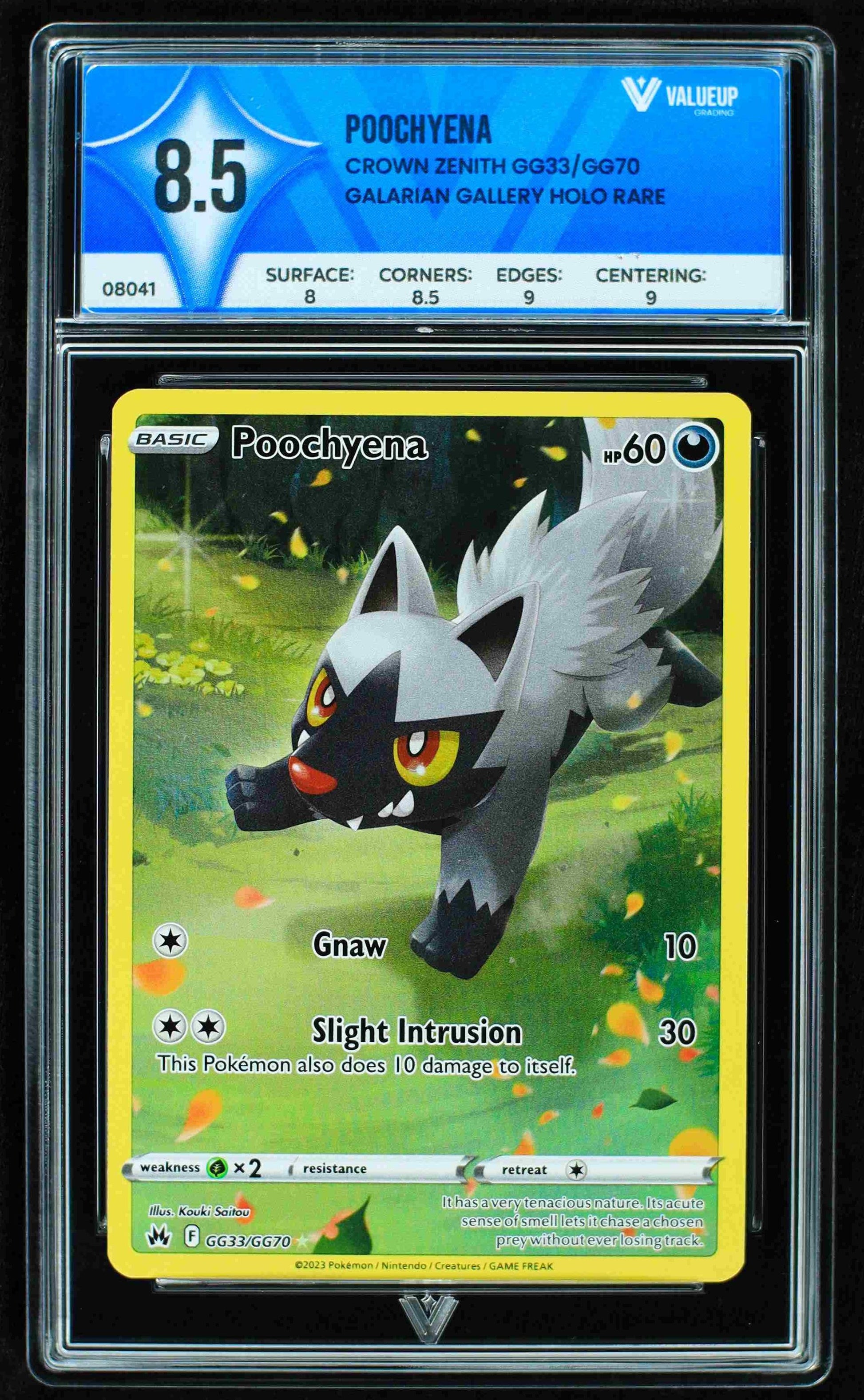 08041 POOCHYENA Grading Card