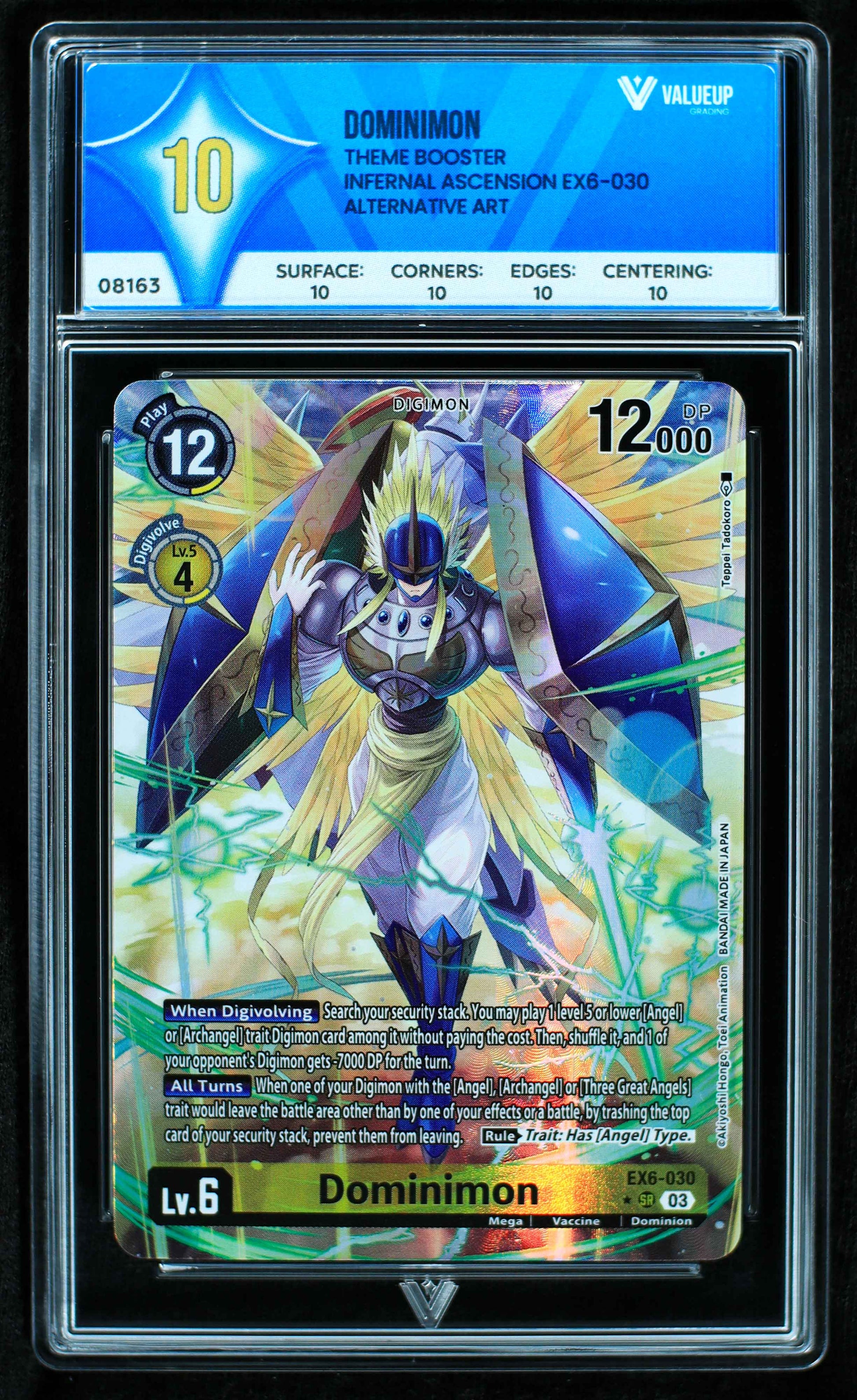 08163 DOMINIMON Grading Card