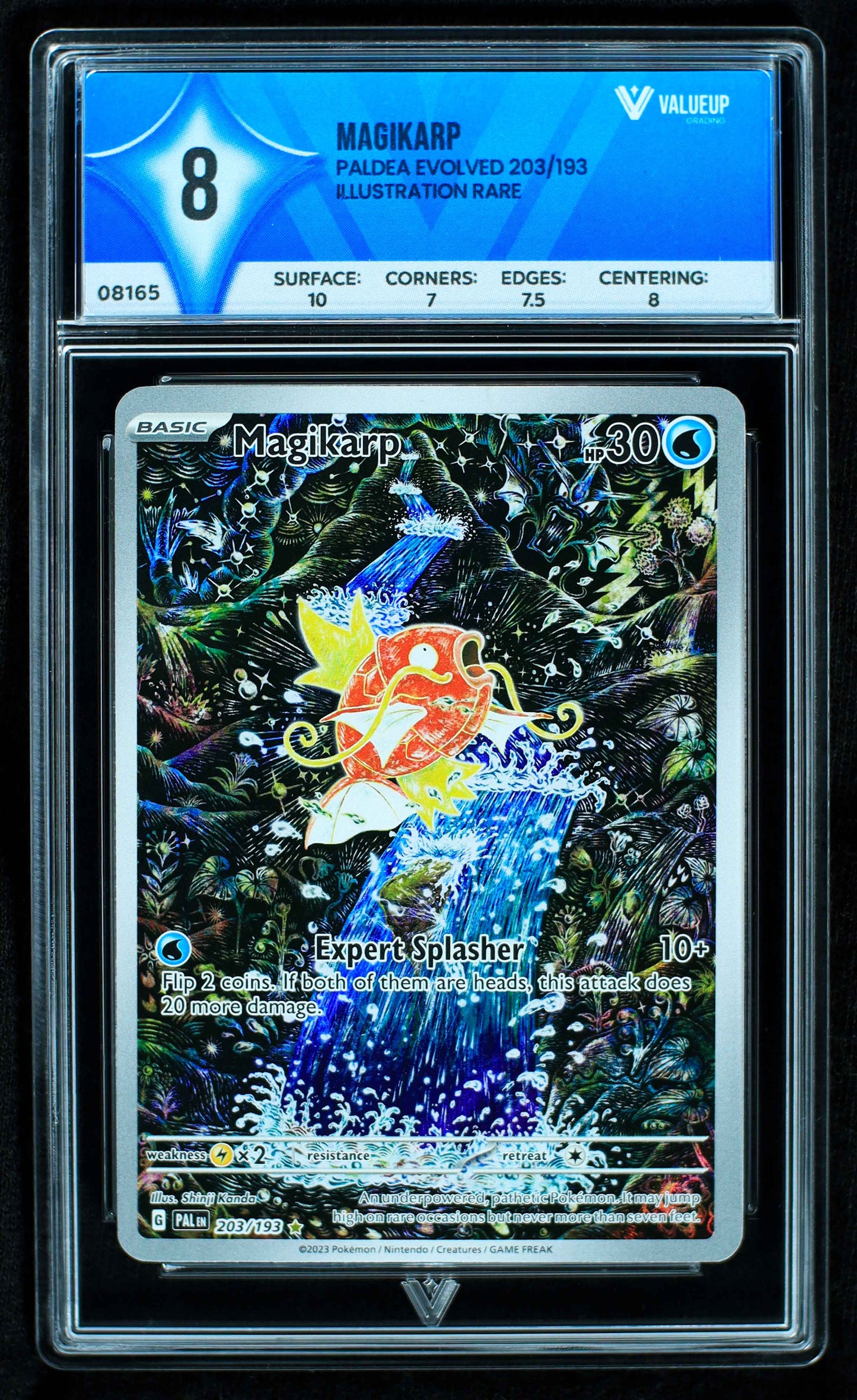 08165 MAGIKARP Grading Card