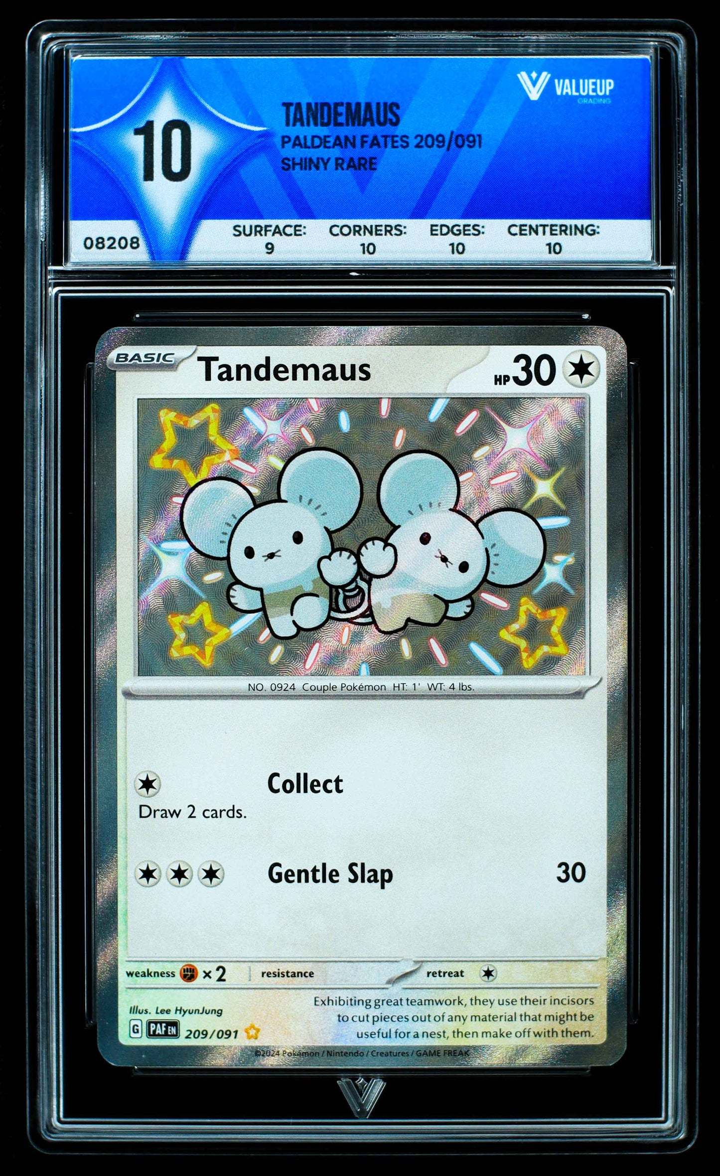 08208 TANDEMAUS Grading Card