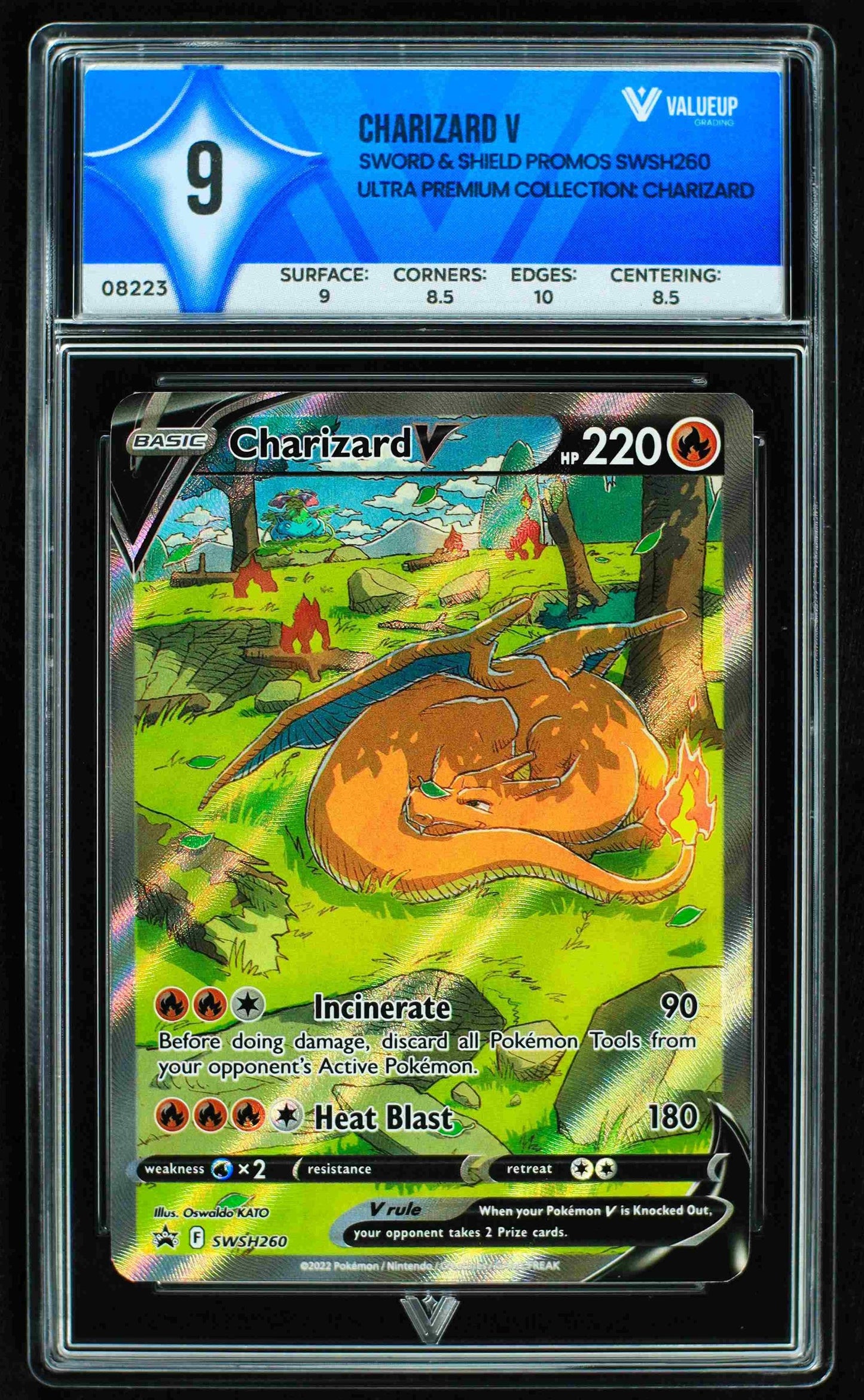 08223 CHARIZARD V Grading Card