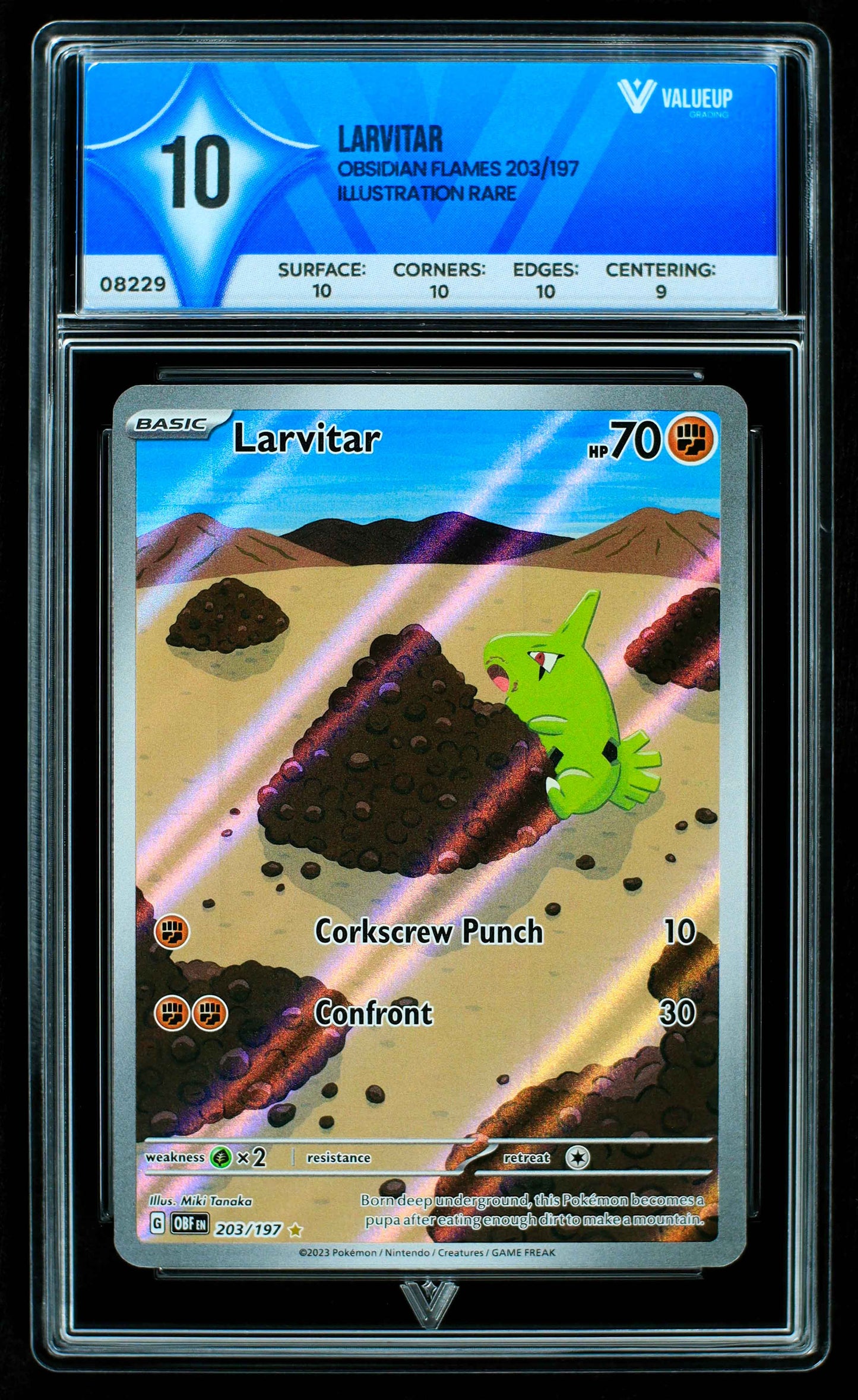 08229 LARVITAR Grading Card