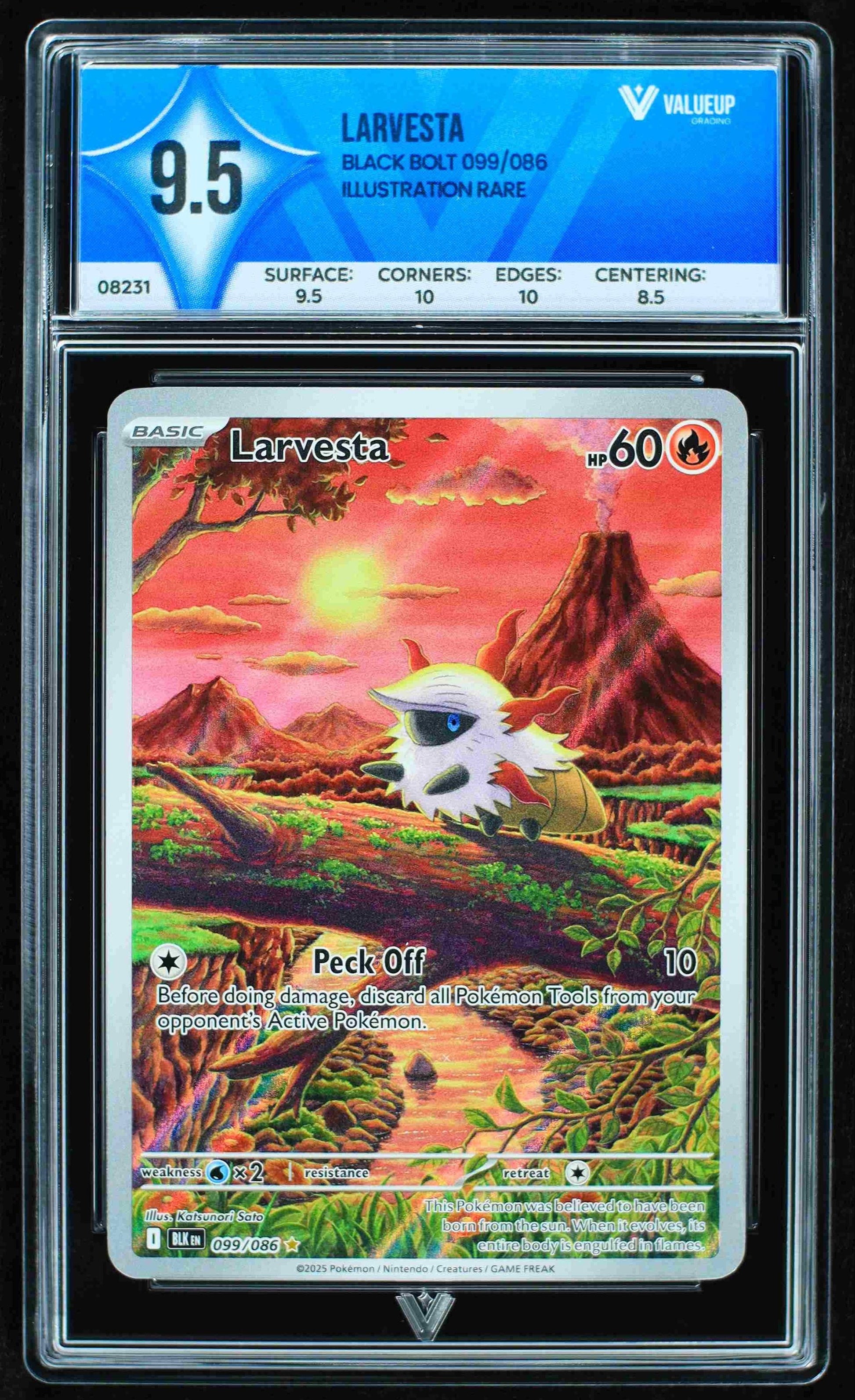 08231 LARVESTA Grading Card