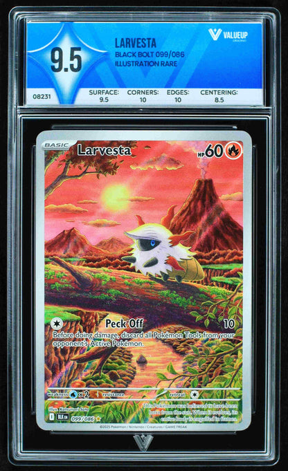 08231 LARVESTA Grading Card