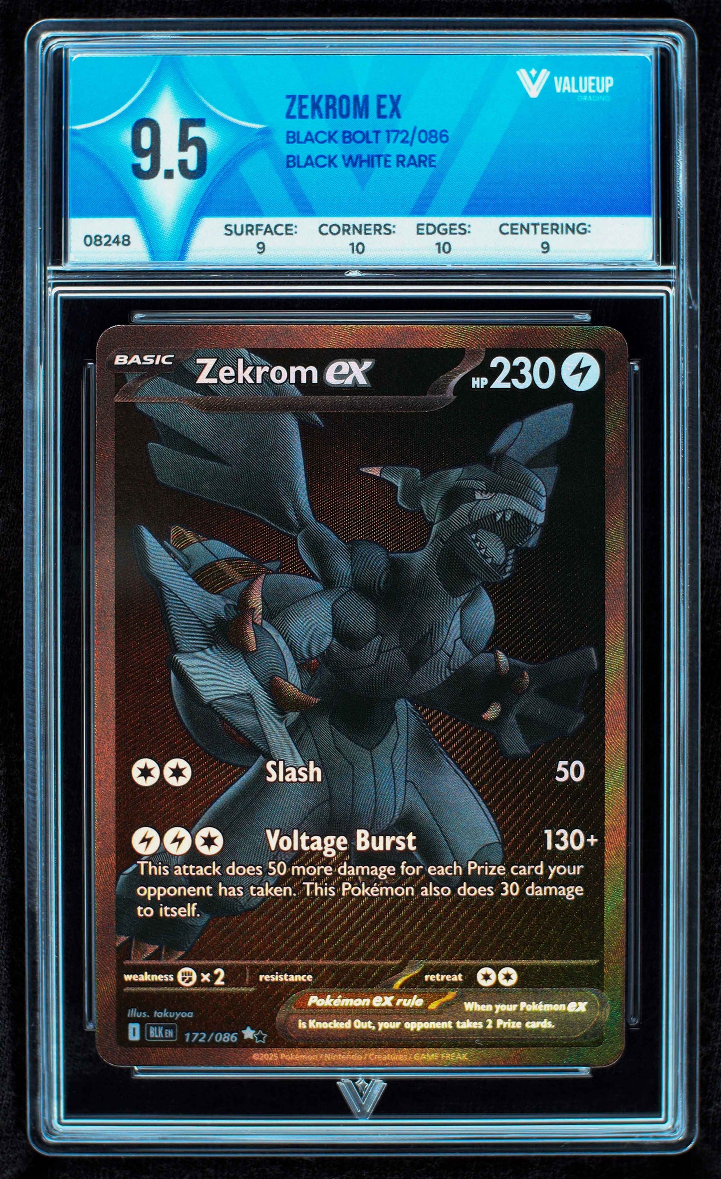 08248 ZEKROM EX Grading Card