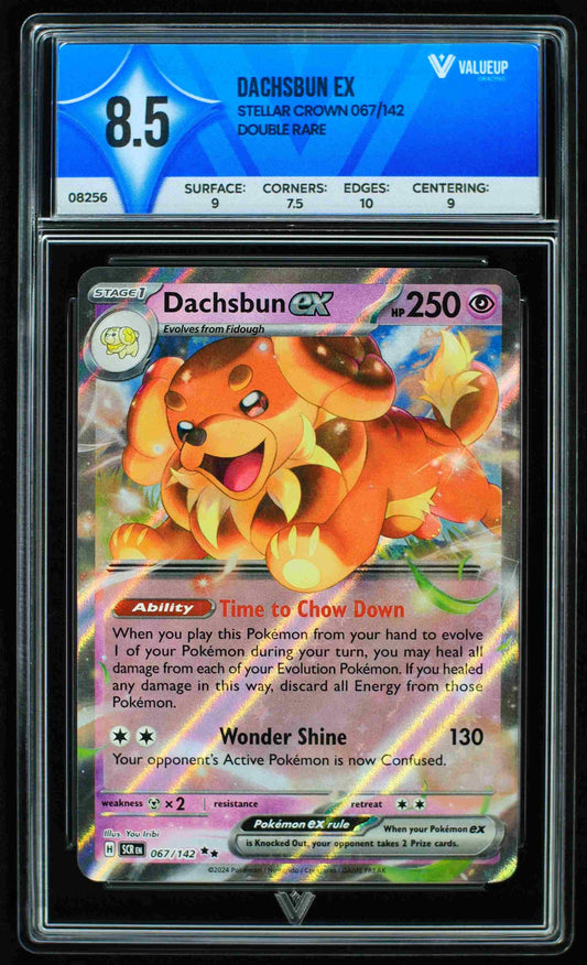 08256 DACHSBUN EX Grading Card