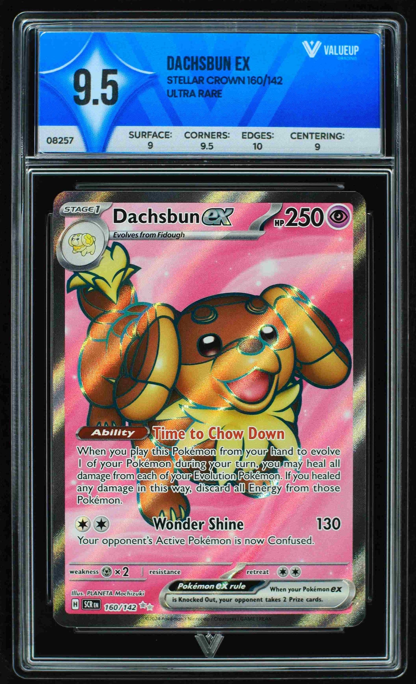 08257 DACHSBUN EX Grading Card