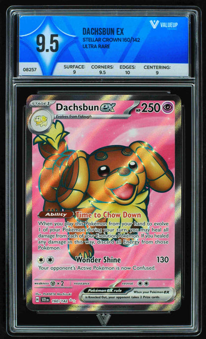 08257 DACHSBUN EX Grading Card