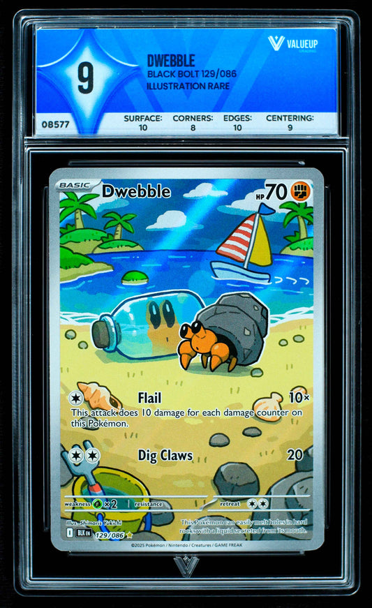 08577 DWEBBLE