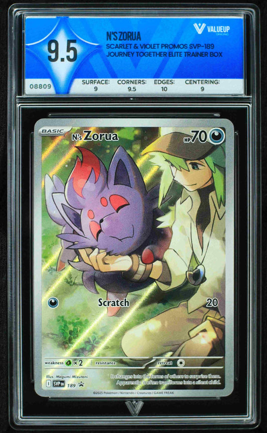 08809 N'S ZORUA