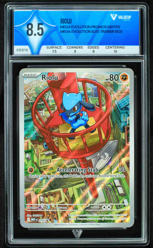 08816 RIOLU