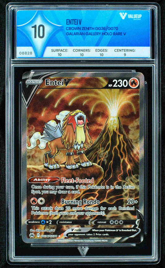08828 ENTEI V