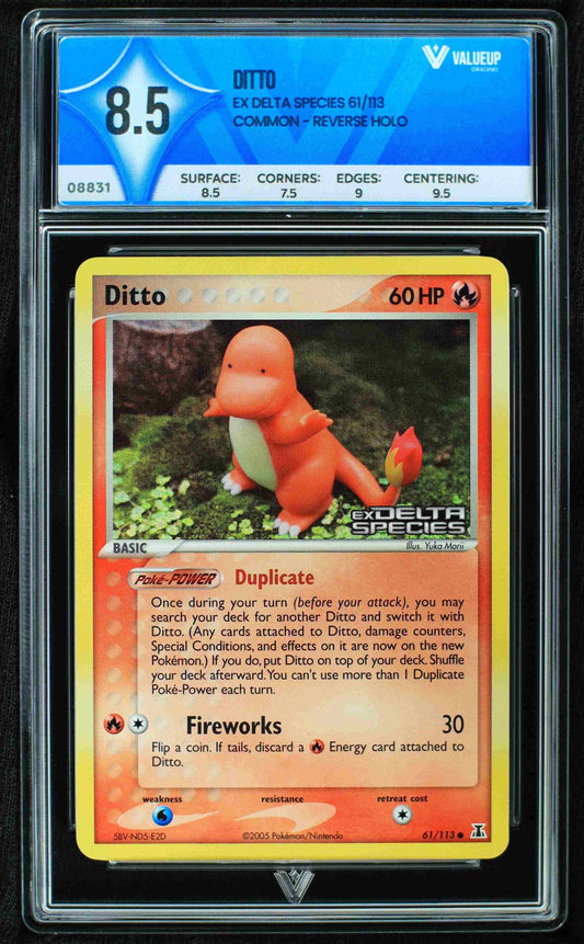 08831 DITTO