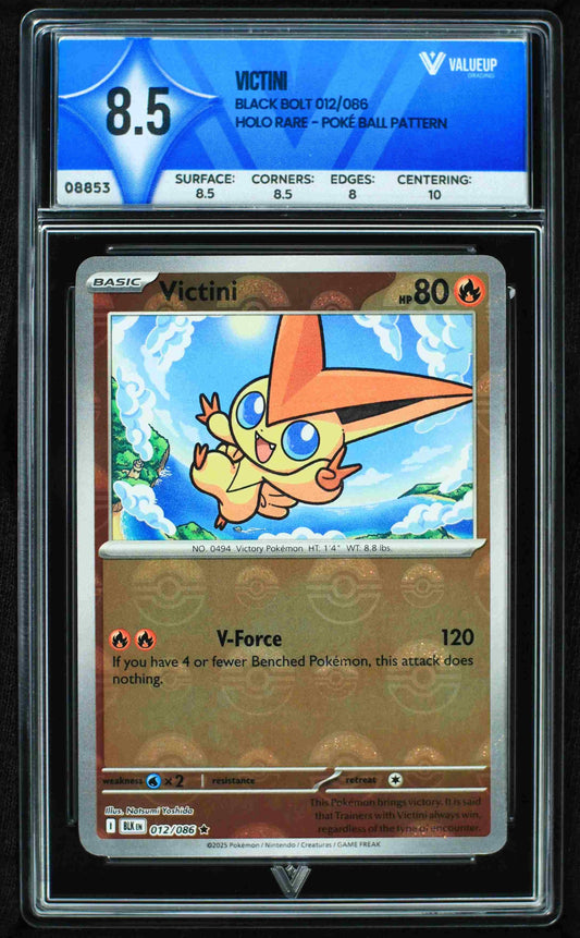 08853 VICTINI