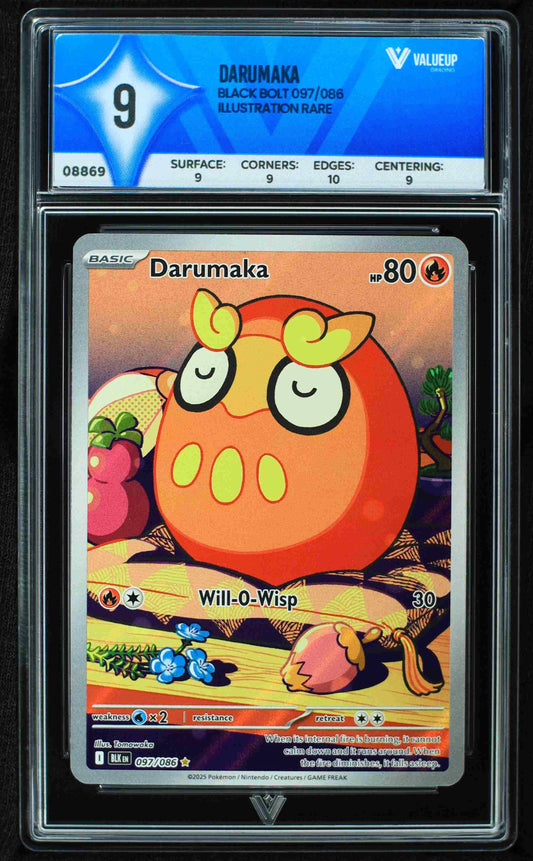 08869 DARUMAKA