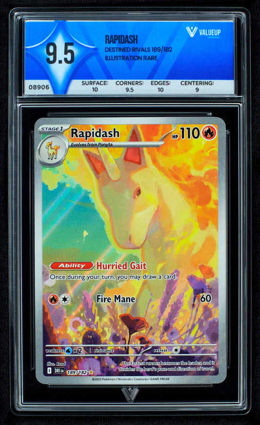 08906 RAPIDASH