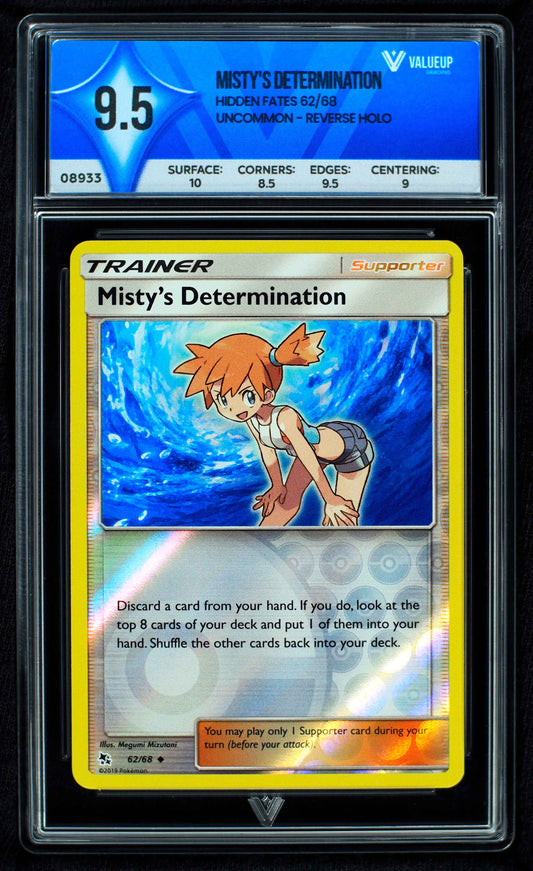 08933 MISTY'S DETERMINATION
