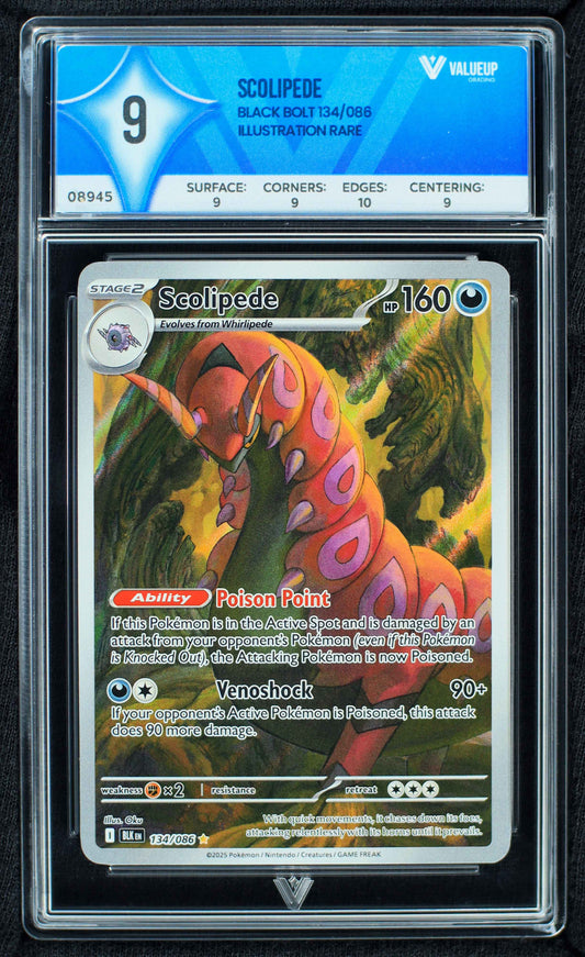 08945 SCOLIPEDE