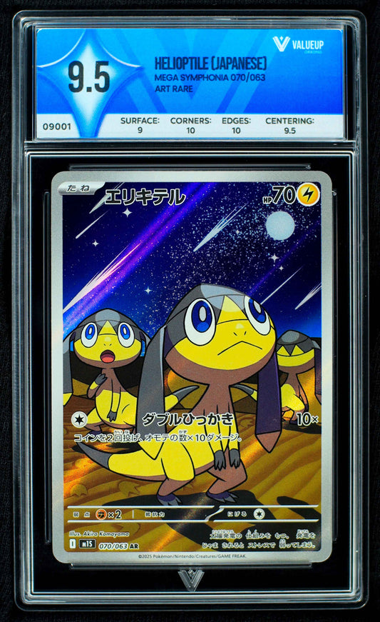 09001 HELIOPTILE (JAPANESE)