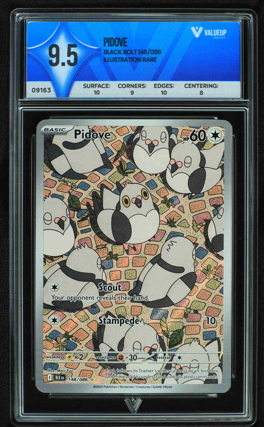 09163 PIDOVE