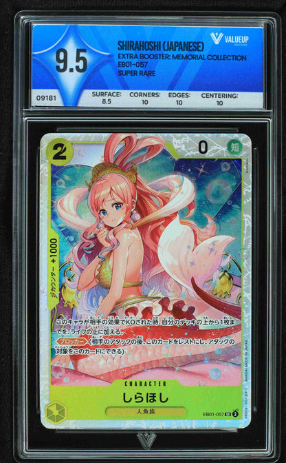 09181 SHIRAHOSHI (JAPANESE)
