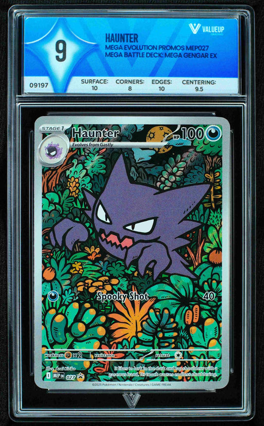 09197 HAUNTER